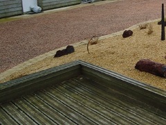 aménagement gravillon rose